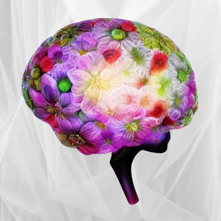 Plasticidad Cerebral: Cómo el aprendizaje moldea el cerebro